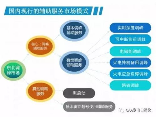 我國現(xiàn)行的電力輔助服務(wù)市場模式及展望——兼論計算機軟硬件零售的潛在賦能