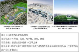 思源興業(yè) 深耕一二線房地產(chǎn)代銷，多渠道整合營銷引領(lǐng)行業(yè)新賽道
